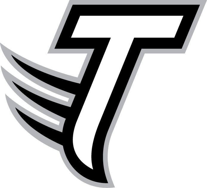 Towson Tigers 2004-Pres Alternate Logo v2 diy iron on heat transfer